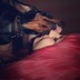 Ann Gaines - @kenzie_gaines - Twitter