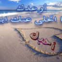 هوبه (@000000000216) Twitter