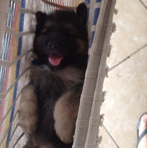 josecag2000's profile picture. 