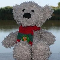 Jane Wardman (@mrtbear) 's Twitter Profile