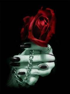 http://t.co/QcINmS9SDF
http://t.co/4yyKm5QgWQ