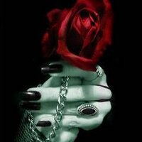 ╰gothiçmetalindo╯ (@gothicmetalindo) 's Twitter Profile