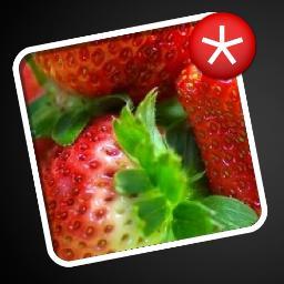 bb_ichigo's profile picture. 詳しくはこちら　http://t.co/5FFinHlf1z

 フォロー・リムーブご自由に。