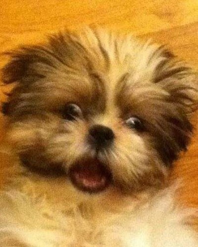 hadfield_s's profile picture. 