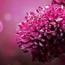 sally - @sally_adam - Twitter