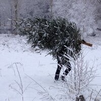 Alex Hill (@alxrh) 's Twitter Profile
