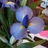 j_porchia_9's profile image