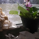 Charlene Taylor - @Catz1985 - Twitter