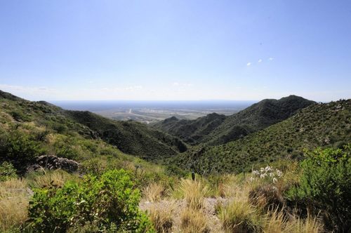 AMANTE DE LA NATURALEZA Y LA RISA DE MIS HIJOS. Contadora Pública