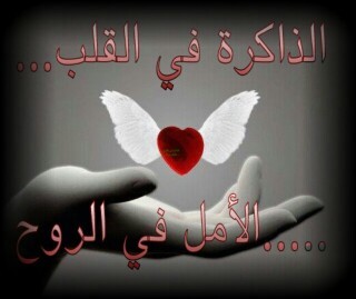 ‏‏‏‏‏‏‏‏لايمكن ان نصل الى قناعات مطلقة .لكن من الممكن ان يتقبل كل منا الاخر .وأن اختلف معه رأيا ورؤيا

.. شاعر واديب .مازلت اتلمس الطريق نحو الكلمة