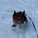 Mac Thompson - @quiksilver3198 - Twitter