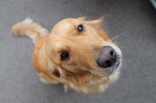 chris50oadby's profile picture. 