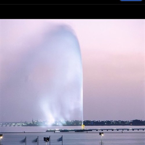 shojaa1100's profile picture. 