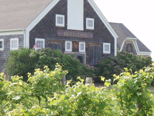 RossignolWine's profile picture. Rossignol Estate #Winery in Little Sands, #PEI offering premium #grapewines and #fruitwines
http://t.co/oAOhMZ0Y