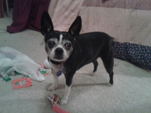 KatietheBT's profile picture. #CoolerThanYou