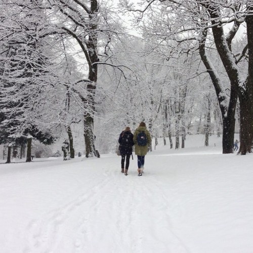 minavanar's profile picture. 