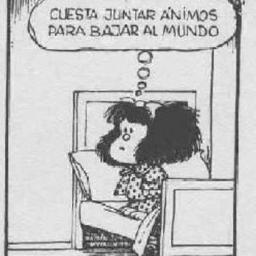 _pil14's profile picture. 