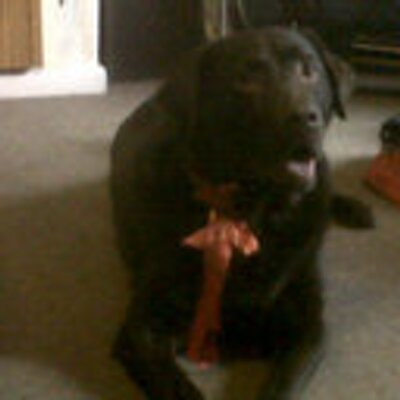 Profile Picture of Isabel Nichols (@isabelnichols14) on Twitter
