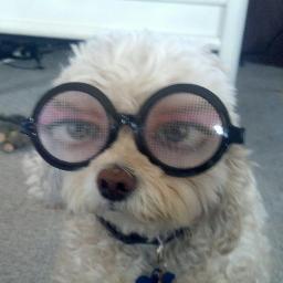 jbihy's profile picture. Go Os