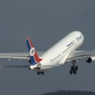 almsloop's profile picture. 