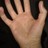 Inarticulator's profile image