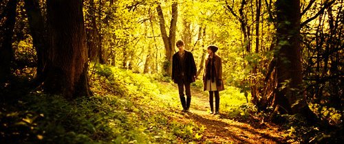 theboywise's profile picture. 