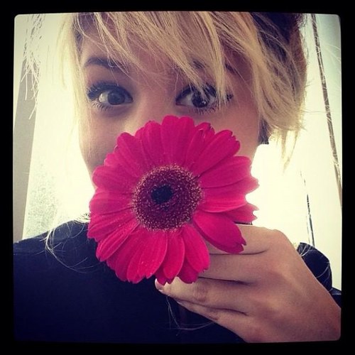 Nesbitt_MA's profile picture. The first Massachusetts fan account dedicated to @ninanesbitt! Follow if you're a #Nesbian! xx