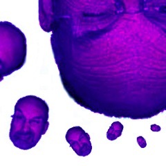 Full-time communication designer/image-maker, part-time educator, sometime entomology nerd, would-be musician.