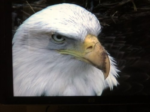 ddeather1's profile picture. retired MPD