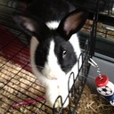 Deborah Atkinson - @DeborahAtkins17 - Twitter