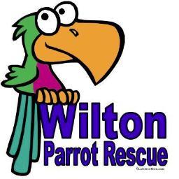 WPR is a small rescue in Wilton, CT. Our goal is to find permanent loving homes for surrendered or rescued companion parrots.