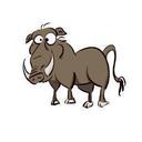 Doug McCartney - @69Sportfury - Twitter