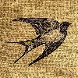 Provides inspiration on everything; Food, Fashion, Culture, Home Interior, Best Places to Eat and Drink, Unique businesses with something special to give!