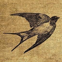 Provides inspiration on everything; Food, Fashion, Culture, Home Interior, Best Places to Eat and Drink, Unique businesses with something special to give!