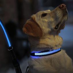 The ONLY USB & Solar Rechargeable LED Lighted Collars, Leashes and Harnesses on the market today!