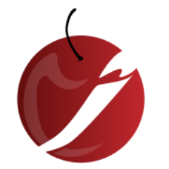 Web Application, Online Marketing, Electronics, Photography