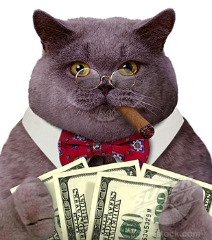 maxthelobbyist Profile Picture
