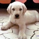 Billy  - @BillyAuAu - Twitter