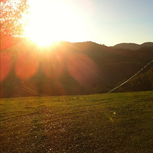 raidertimbo's profile picture. 