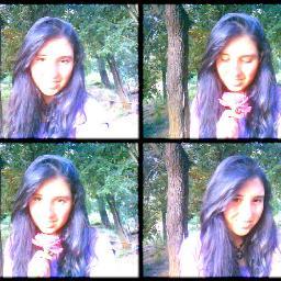 Hola Me Llamo Priscila Penroz Parra Me Encantan Los Jonas Brothers Soy De Chile De La Octava Region Soy Simpatica y Alegre :D