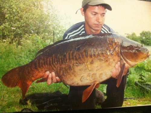 ianthurston5's profile picture. ITFC