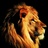 LastKings's Twitter (X) avatar