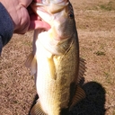 Derek King - @alturfguy - Twitter