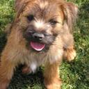 Jimmy Baum - @GomerPyle95 - Twitter