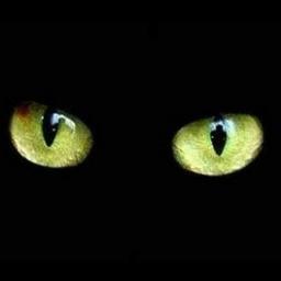 TheEliex's profile picture. Eliex is a Brazilian band with Englishwoman inspirations.Is new band of Grunge, Heavy Metal, Blues-Rock, Country rock..We makes english songs.This is Beginning.