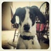 Krecky (@rkrecky) Twitter profile photo