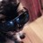 tioalexv's profile image