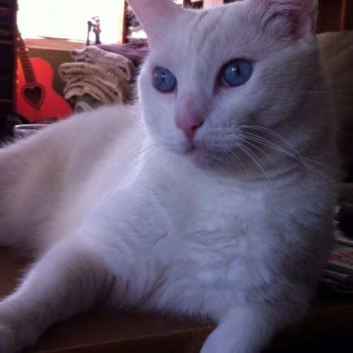 maggigmom's profile picture. 