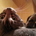 Miriam Moya Ortega - @Miri_MMO - Twitter