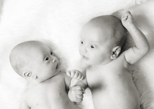 Elementary School Counselor, mom of twin boys